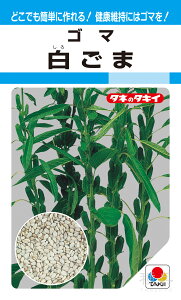 S}  w܁x ATY121 ^LCc