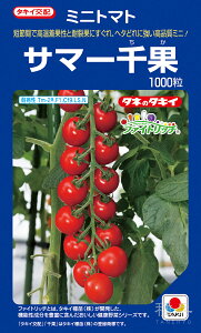 ~jg}g  wT}[ʁx ATM03G ^LCc