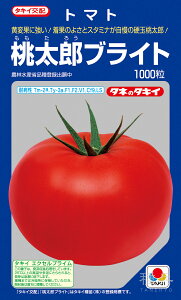 YninEXjg}g  wYuCgx ATM09G ^LCc