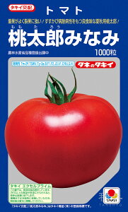 YniďHjg}g  wY݂Ȃ݁x ATM04R ^LCc