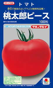 YninEXjg}g  wYs[Xx ATM06N ^LCc