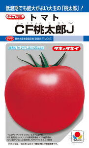 YninEXjg}g  wCFYJx ATM02R ^LCc