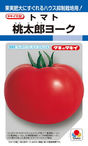 YninEXjg}g  wY[Nx ATM031 ^LCc