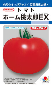 YniďHjg}g  wz[YEXx ATM01K ^LCc