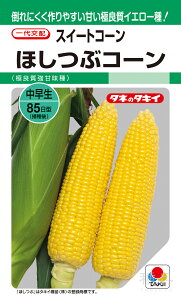 CG[gERV  wقԃR[(Y-61)x ACR603 ^LCc