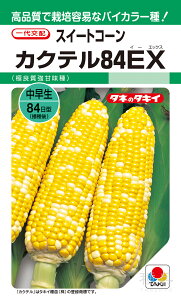 oCJ[gERV  wJNe84EXx ACR557 ^LCc