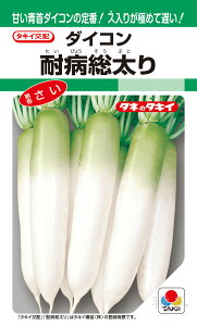 H~ǂ_CR  wϕax ADA021 ^LCc