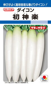 tĂǂ_CR  w_yx ADA08R ^LCc