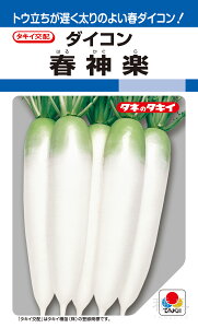 tĂǂ_CR  wt_yx ADA003 ^LCc