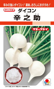 辛味ダイコン 種 『辛之助』 ADA05P タキイ種苗
