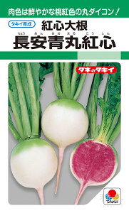ۃ_CR  wgS卪iۍgSjx ADA291 ^LCc