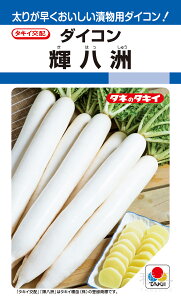 H~ǂ_CR  wPFx ADA01K ^LCc