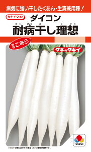 H~ǂ_CR  wϕazx ADA055 ^LCc