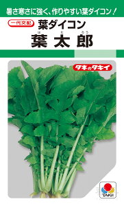 t_CR  wtYx ADA106 ^LCc