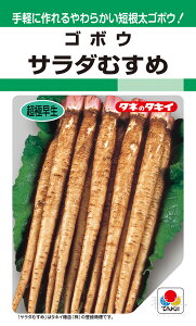 S{E  wT_ނ߁Ă遄x AGB402 ^LCc