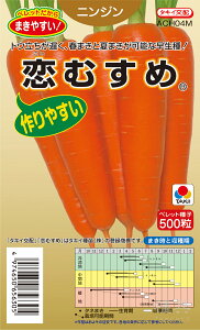 tČpjW  wނ߁x ACH04M ^LCc