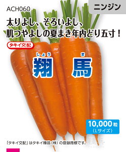 Ă܂jW  wĔnx ACH060 ^LCc