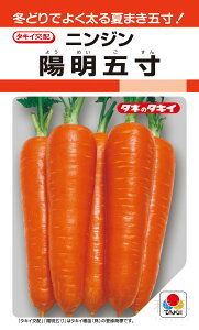 Ă܂jW  wzܐx ACH023 ^LCc