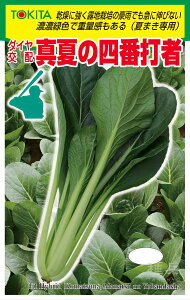 R}ci  w^Ă̎lԑŎҁx gL^c