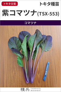 R}ci  w(TSX-553)x gL^c