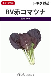 R}ci  wBVԃR}cix gL^c