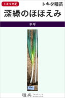 根深ネギ 種 『深緑のほほえみ』 トキタ種苗