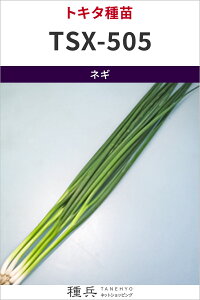 �t�l�M �� �wTSX-505���˂��x �g�L�^��c