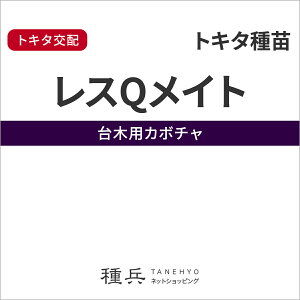 台木カボチャ 種 『レスQメイト』 トキタ種苗