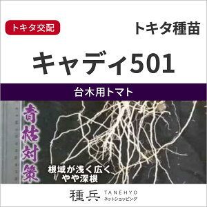 ؗpg}g  wLfB501x gL^c