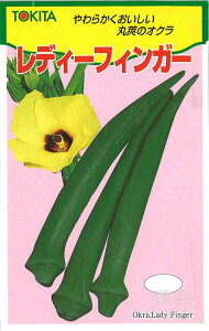 丸オクラ 種 『レディーフィンガー』 トキタ種苗