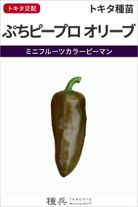 ~jt[cJ[s[}  wՂs[v I[ux gL^c