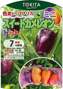 ~jJ[pvJ  wXC[gJIE~jx gL^c