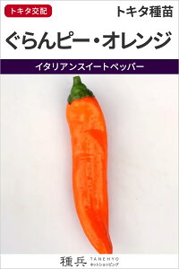 C^AXC[gybp[  ws[EIWx gL^c