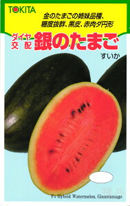 ȉ~珬ʃXCJ  ŵ܂x gL^c