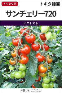 ~jg}g  wT`F[720x gL^c