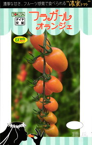 ~jg}g  wtK[EIWFx gL^c