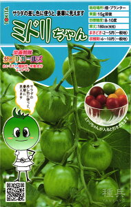 ~jg}g  wh{TvK[YE~hx gL^c