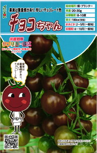 ~jg}g  wh{TvK[YE`Rx gL^c