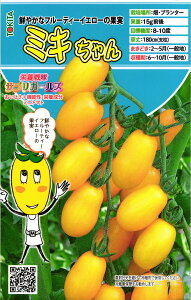 ~jg}g  wh{TvK[YE~Lx gL^c