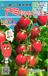 ~jg}g  wh{TvK[YEA~x gL^c