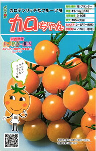 ~jg}g  wh{TvK[YEJx gL^c