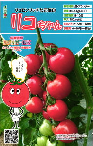 ~jg}g  wh{TvK[YERx gL^c