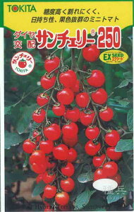 ~jg}g  wT`F[250x gL^c