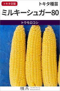 XC[gR[  w~L[VK[80 x gL^c