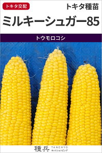 XC[gR[  w~L[VK[85x gL^c