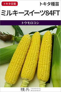 XC[gR[  w~L[XC[c84FTx gL^c