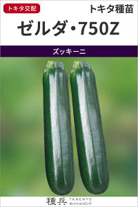 YbL[j  w[_E750ZiTSX?750Zjx gL^c