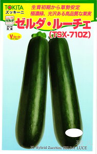 YbL[j  w[_E[`Fx gL^c