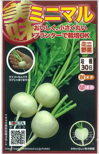 ۃ_CR  w~j}_CRx gL^c