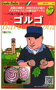 ビート 種 『ゴルゴ』 トキタ種苗